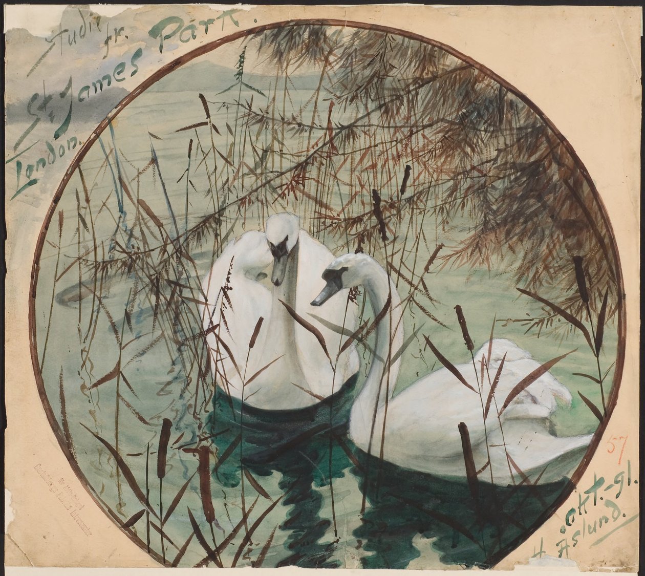 Cygnes dans un étang - Helmer Osslund