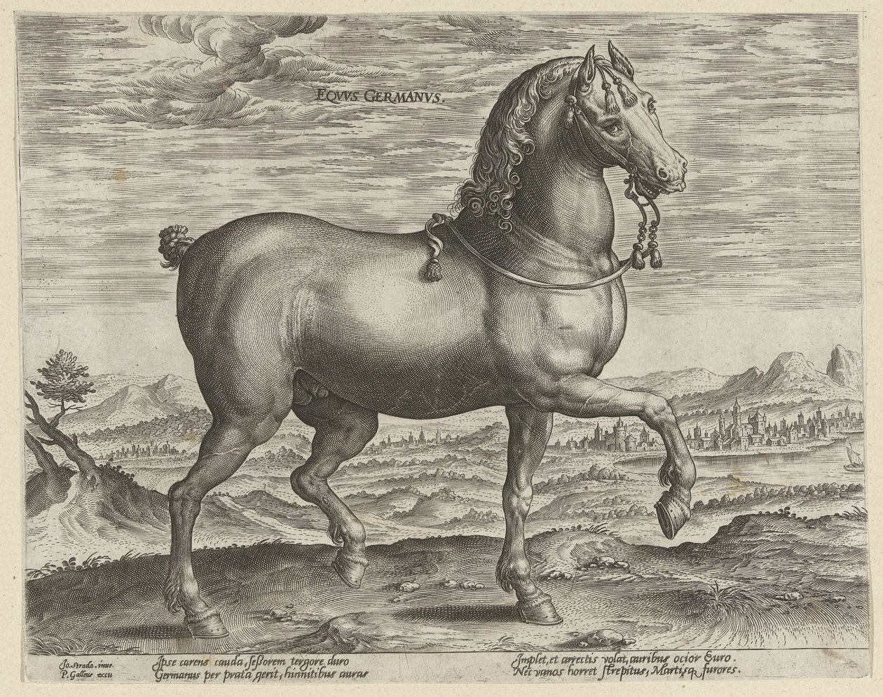 Étalon d