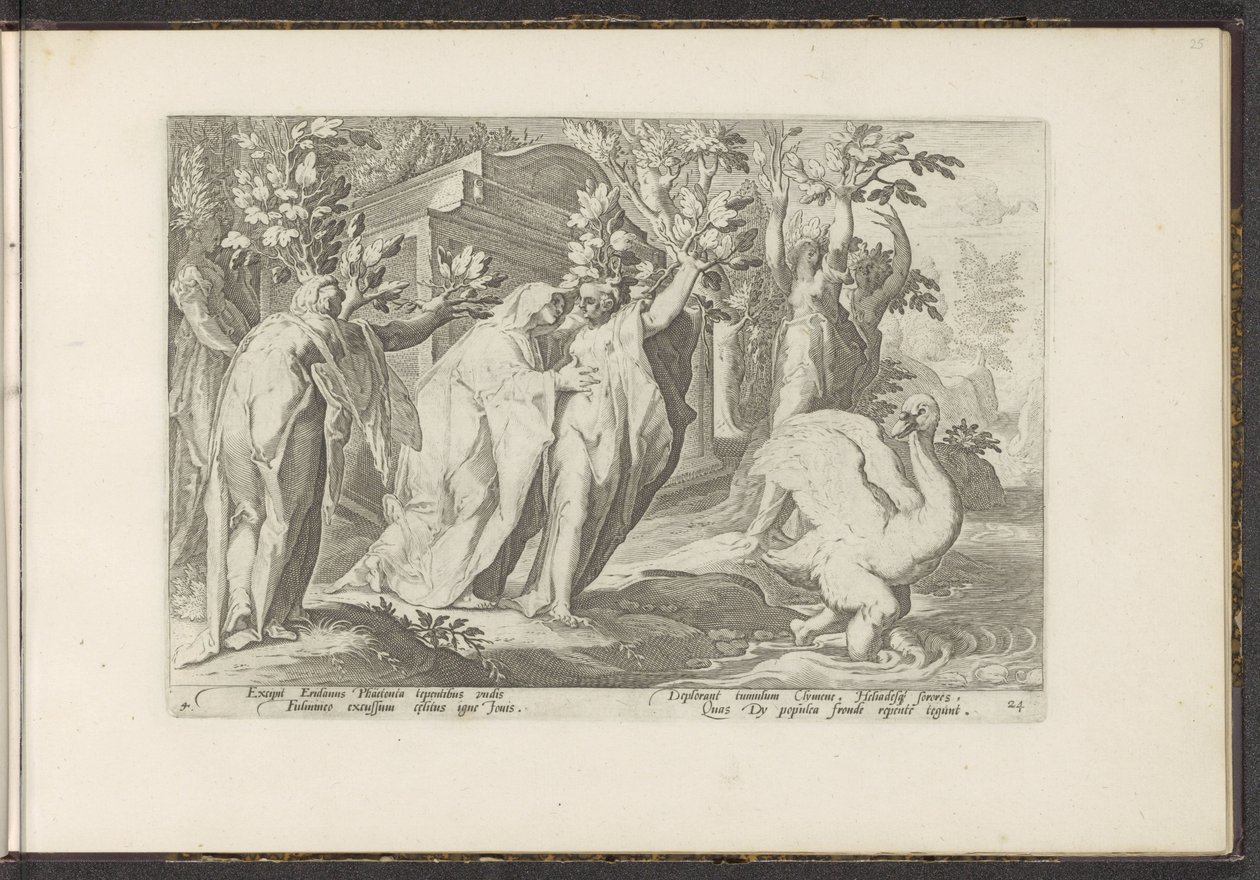 Les sœurs de Phaéthon se transforment en peupliers et son ami en cygne (Ovidius
