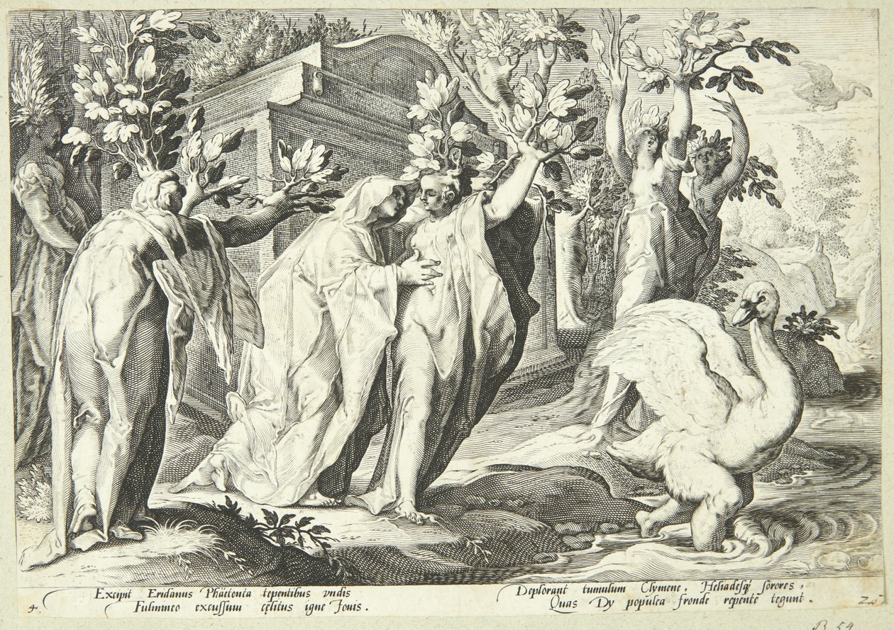 Les sœurs de Phaéton transformées en peupliers et Cygnus en cygne - Hendrick Goltzius
