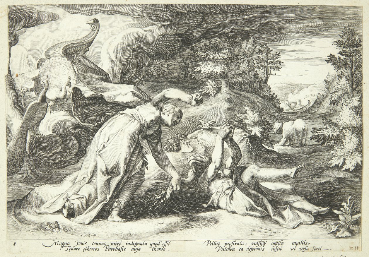 Junon transforme Callisto en ours - Hendrick Goltzius