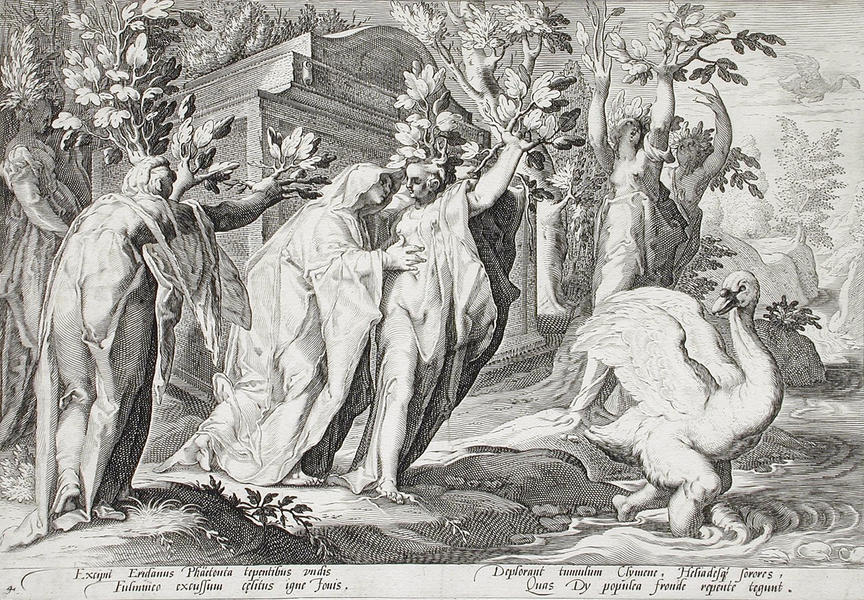 Les sœurs de Phaéton changées en peupliers, et Cygnus en cygne - Hendrick Goltzius