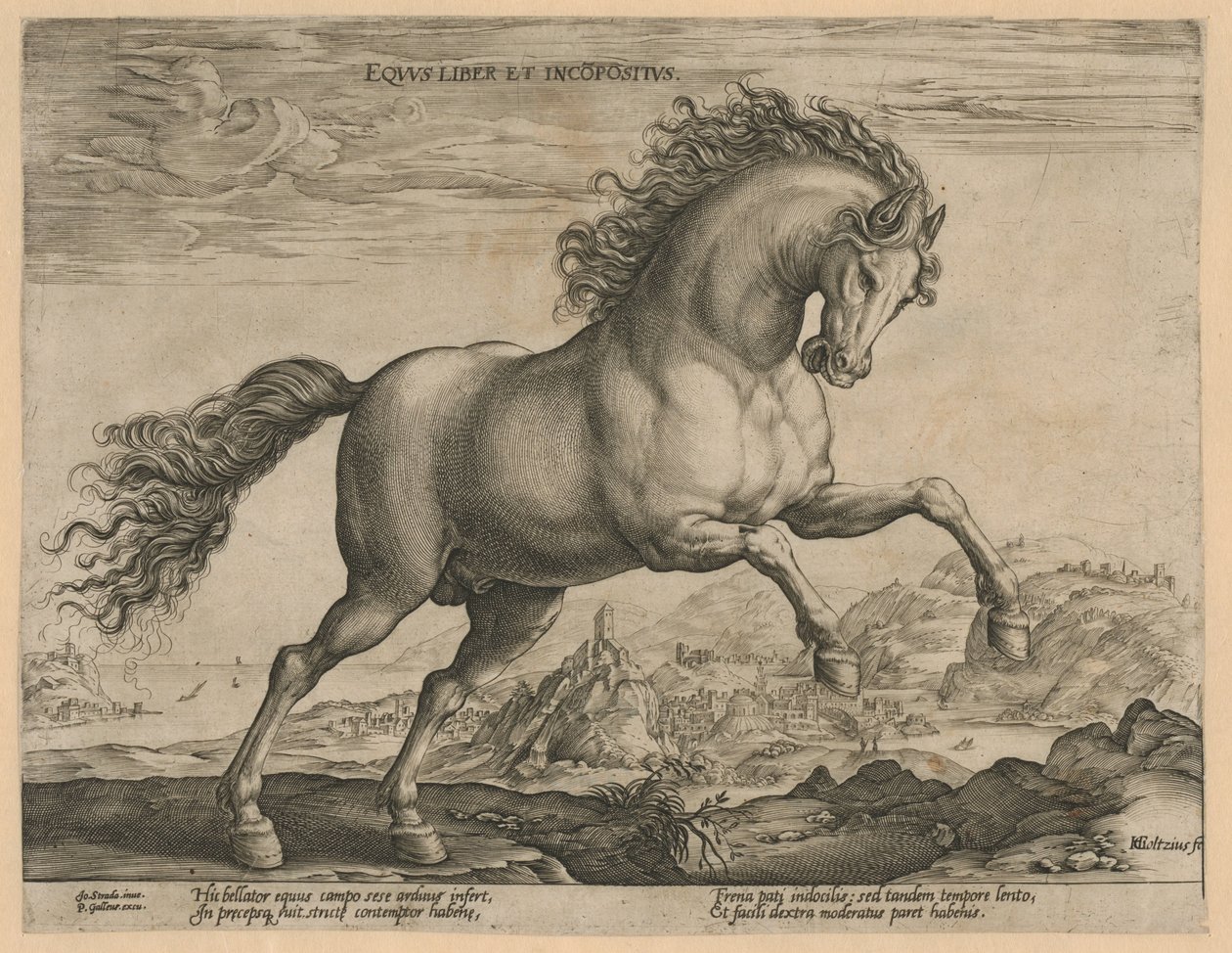 Cheval sauvage - Hendrick Goltzius