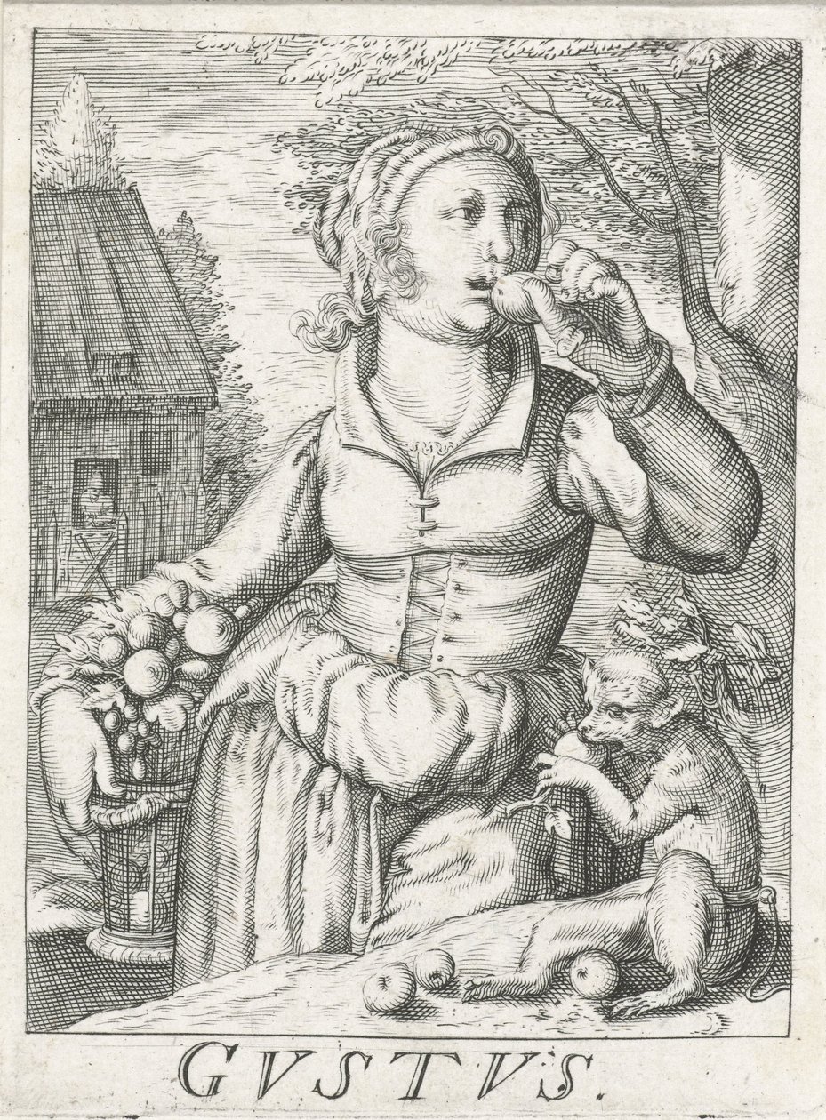 Goût (Gustus), une femme avec des fruits - Hendrick Hondius (rejected attribution)