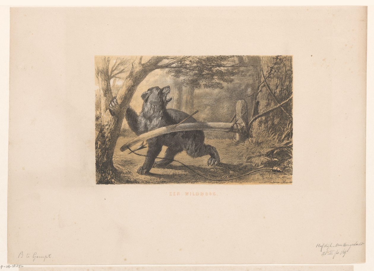 Ours dans un piège - Hendrik Adriaan Christiaan Dekker