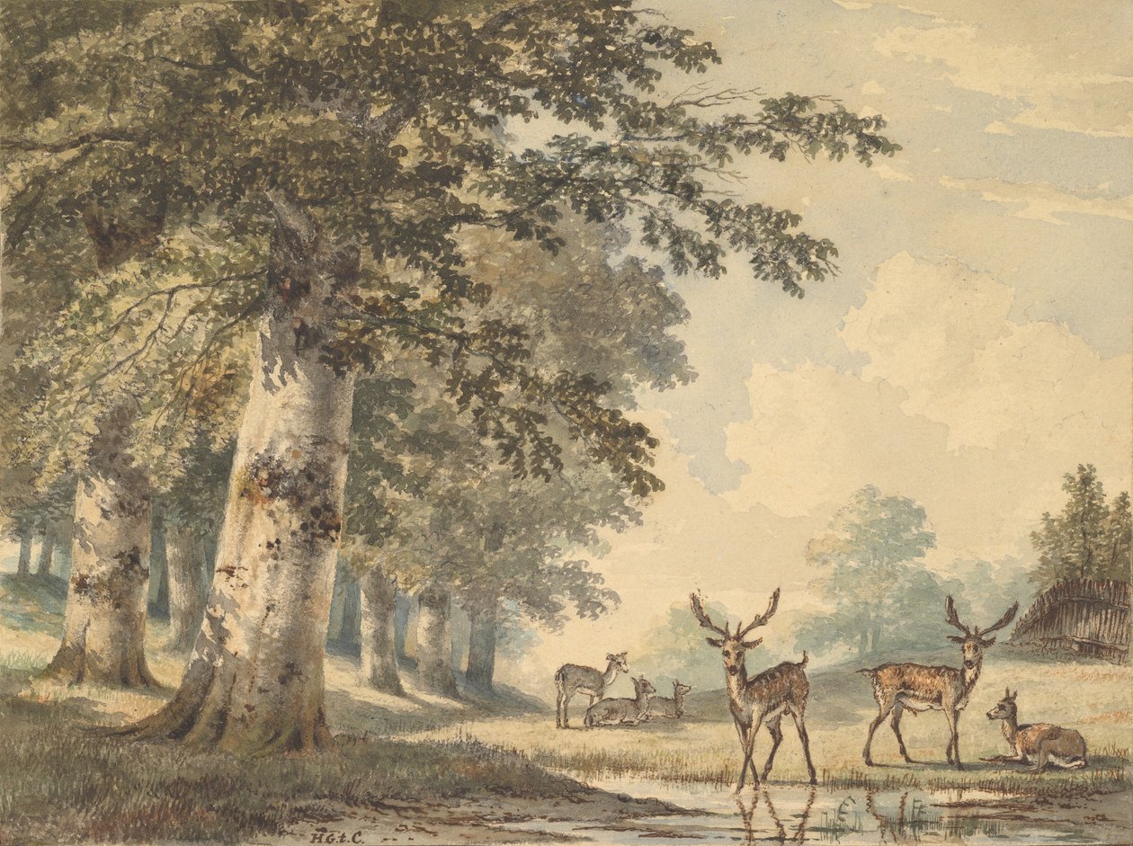 Cerfs sous les hêtres en hiver - Hendrik Gerrit ten Cate