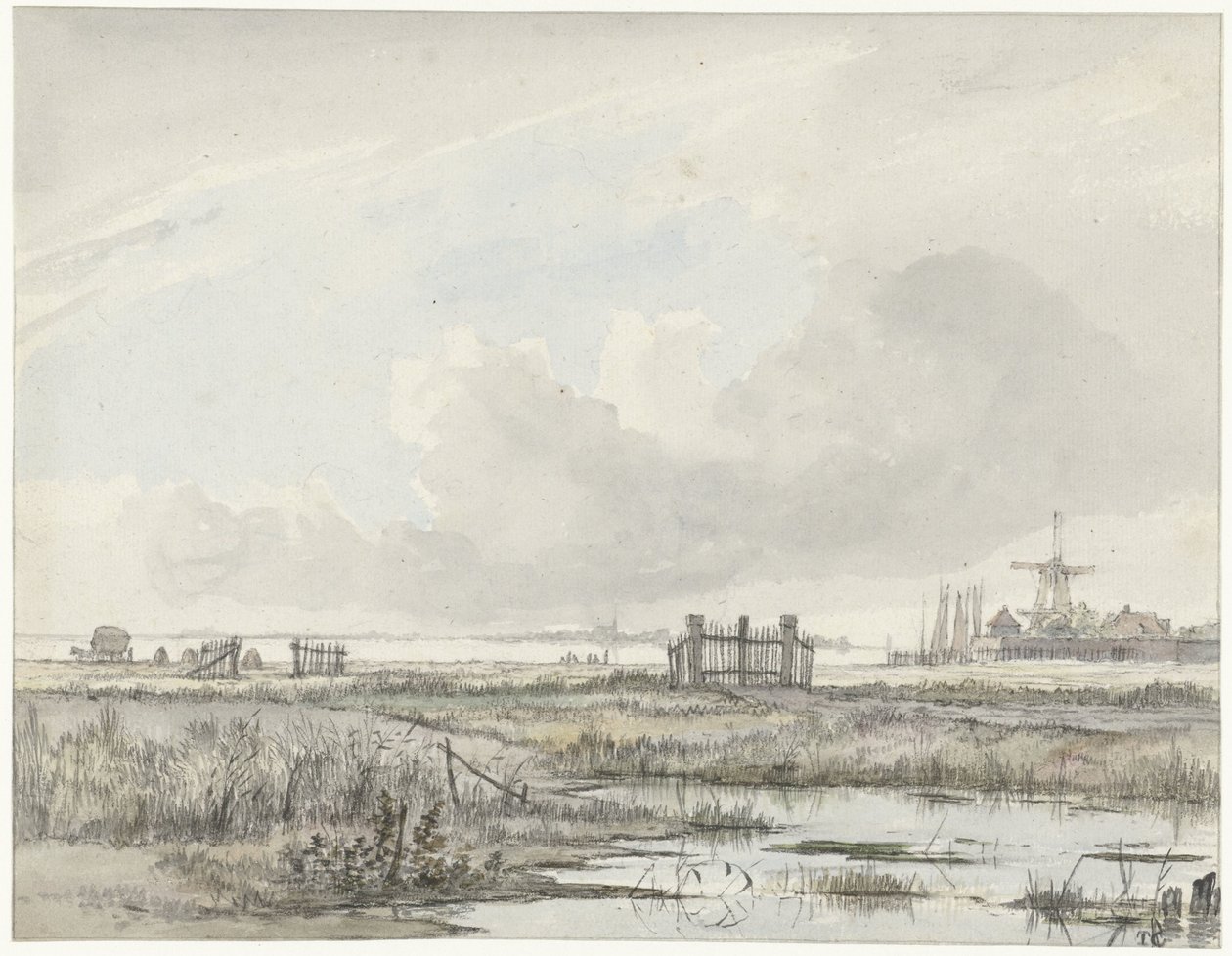 Paysage marécageux en dehors d