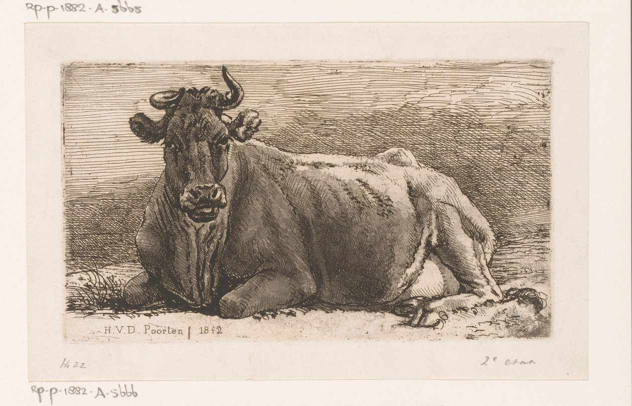 Vache couchée - Hendrik Jozef Franciscus van der Poorten