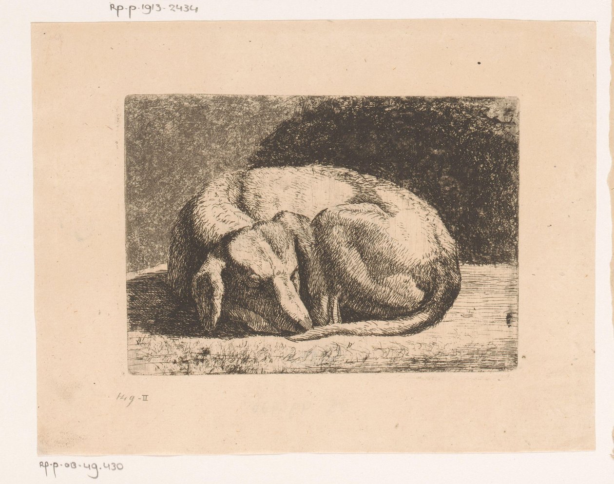 Chien endormi - Hendrik Jozef Franciscus van der Poorten