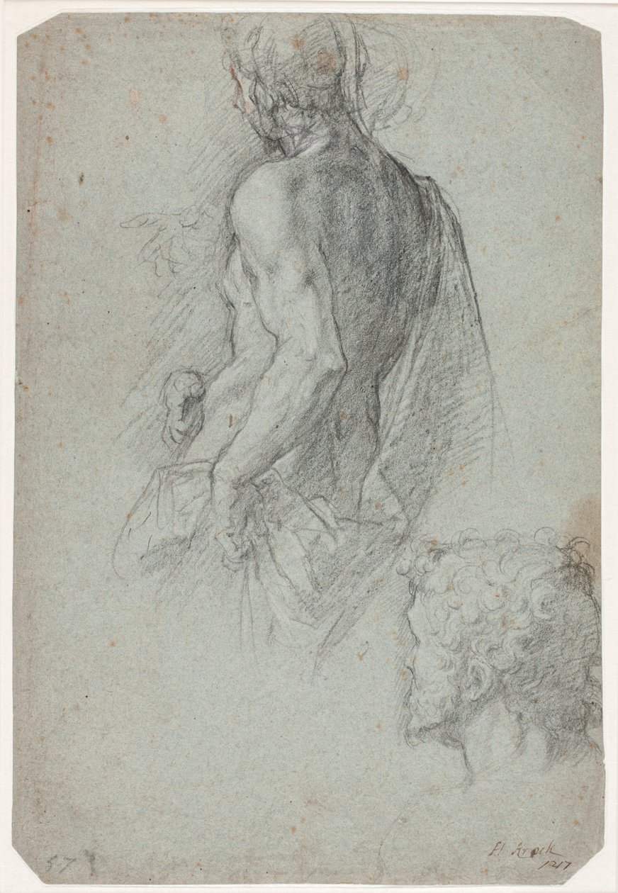 Modèle masculin drapé et tête d