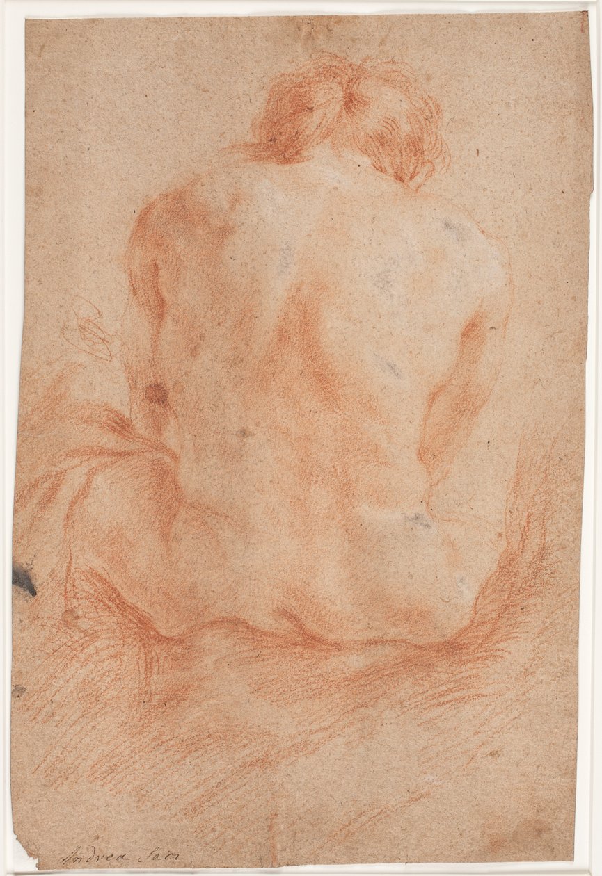 Étude de modèle masculin, assis, vu de dos - Hendrik Krock