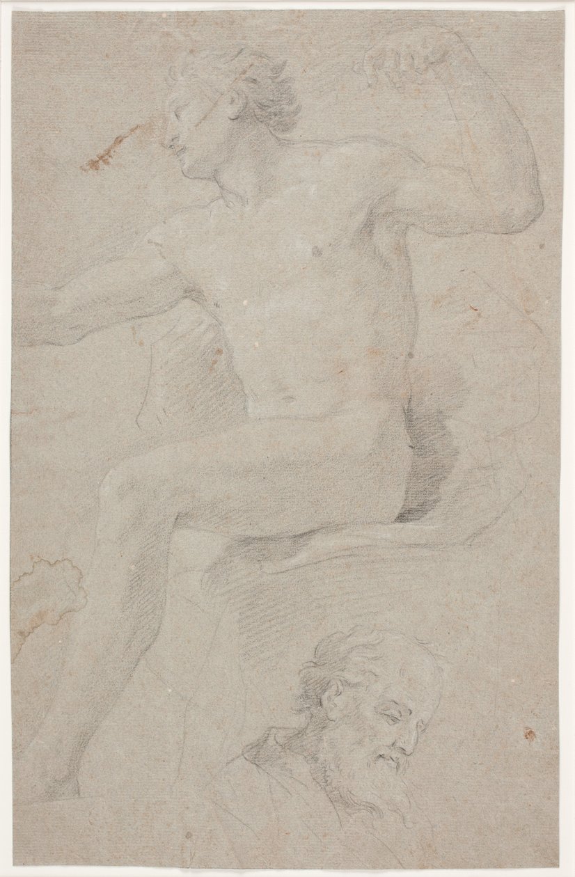 Modèle masculin assis et tête d