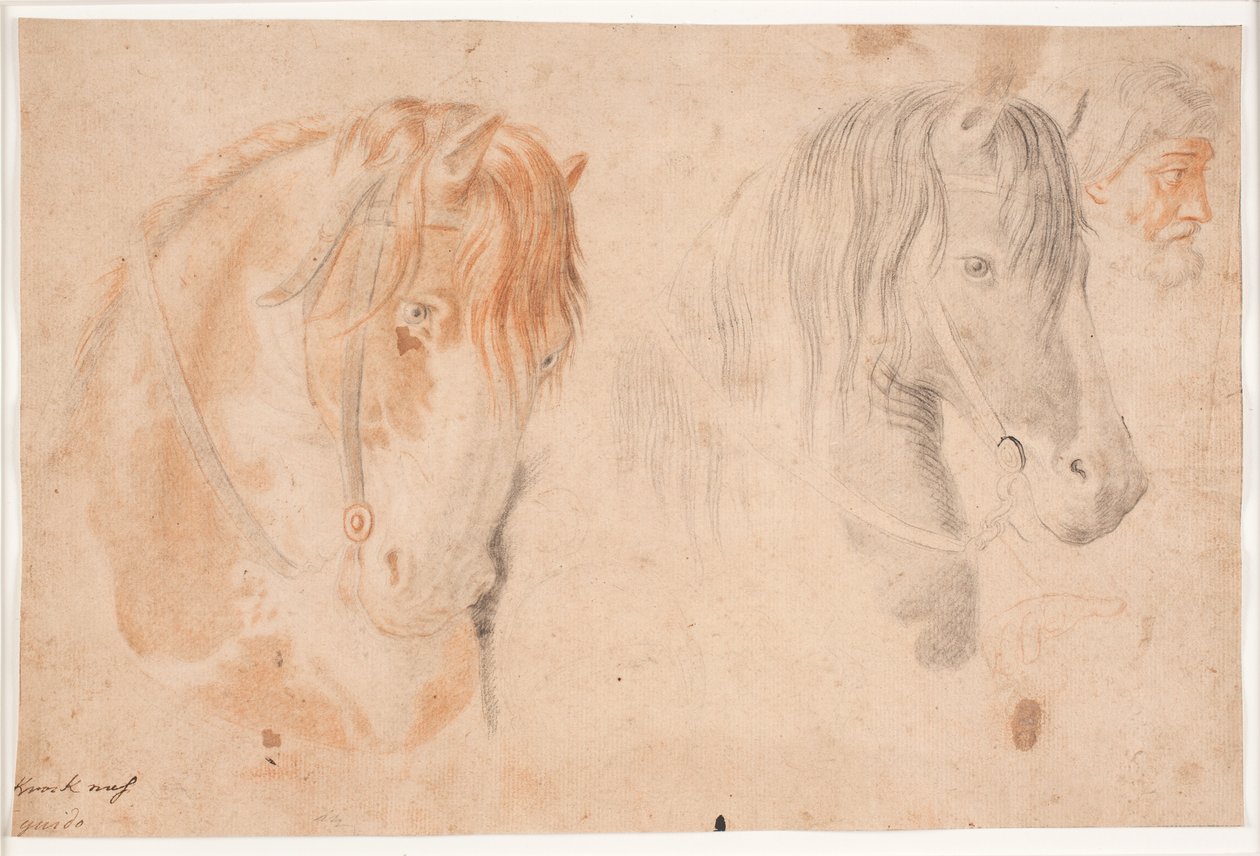 Deux têtes de chevaux et une tête d