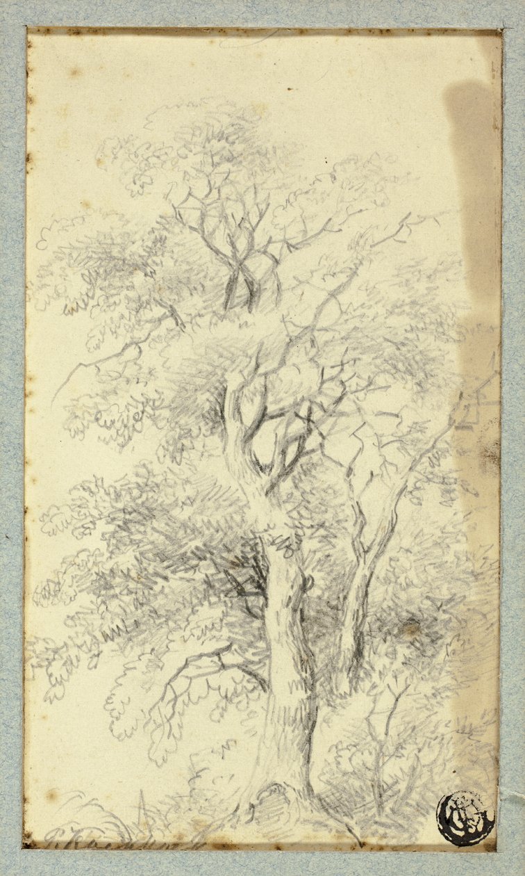 Arbre - Hendrik Pieter Koekkoek