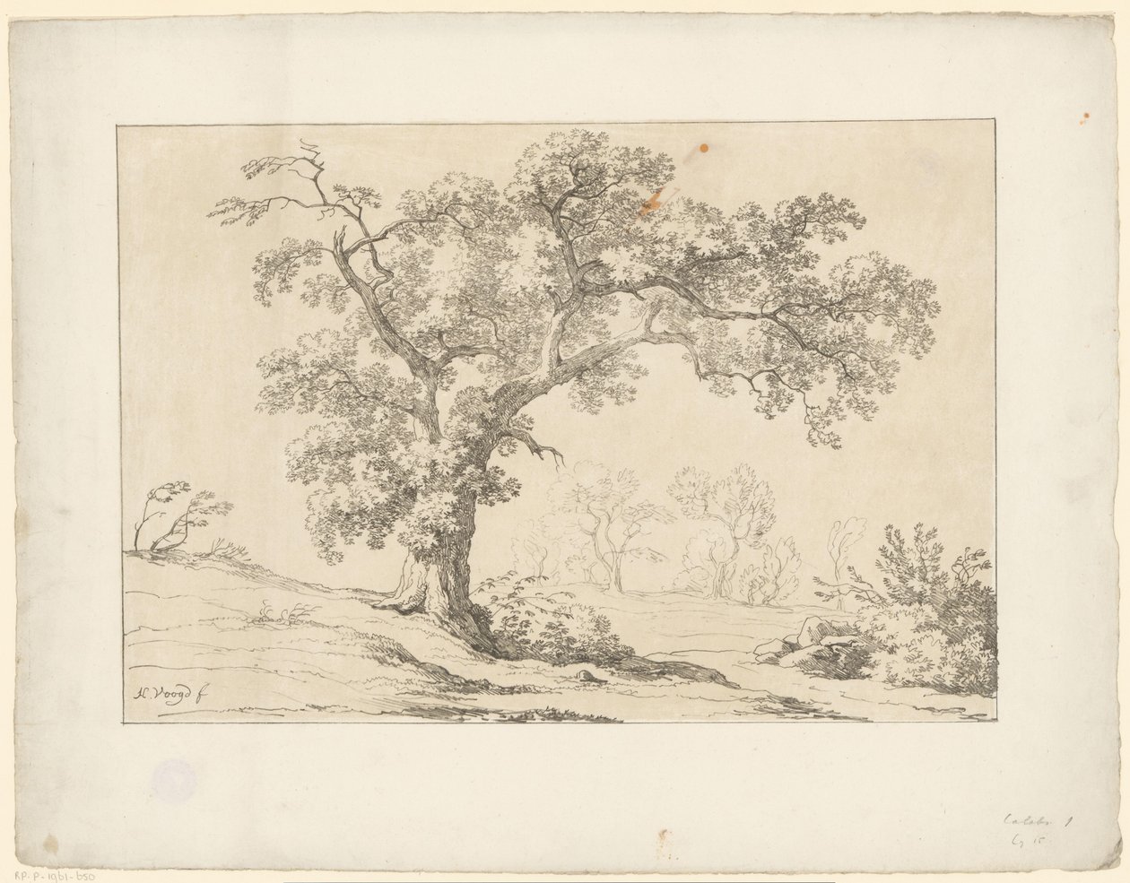 Arbre dans un paysage - Hendrik Voogd