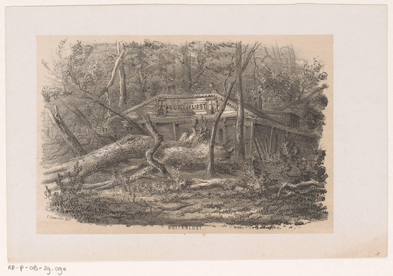 Arbre renversé à Buitenlust, après la tempête du 28 mai 1860 - Hendrik Wilhelmus Last