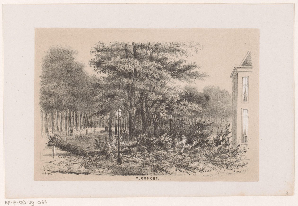 Arbre renversé à Voorhout, après la tempête du 28 mai 1860 - Hendrik Wilhelmus Last