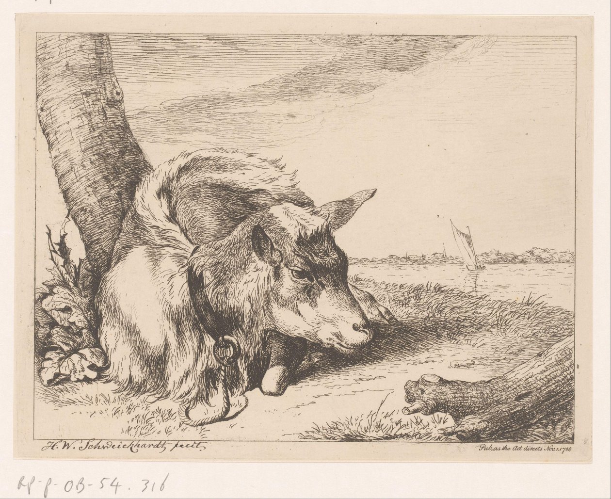 Chèvre couchée près de l