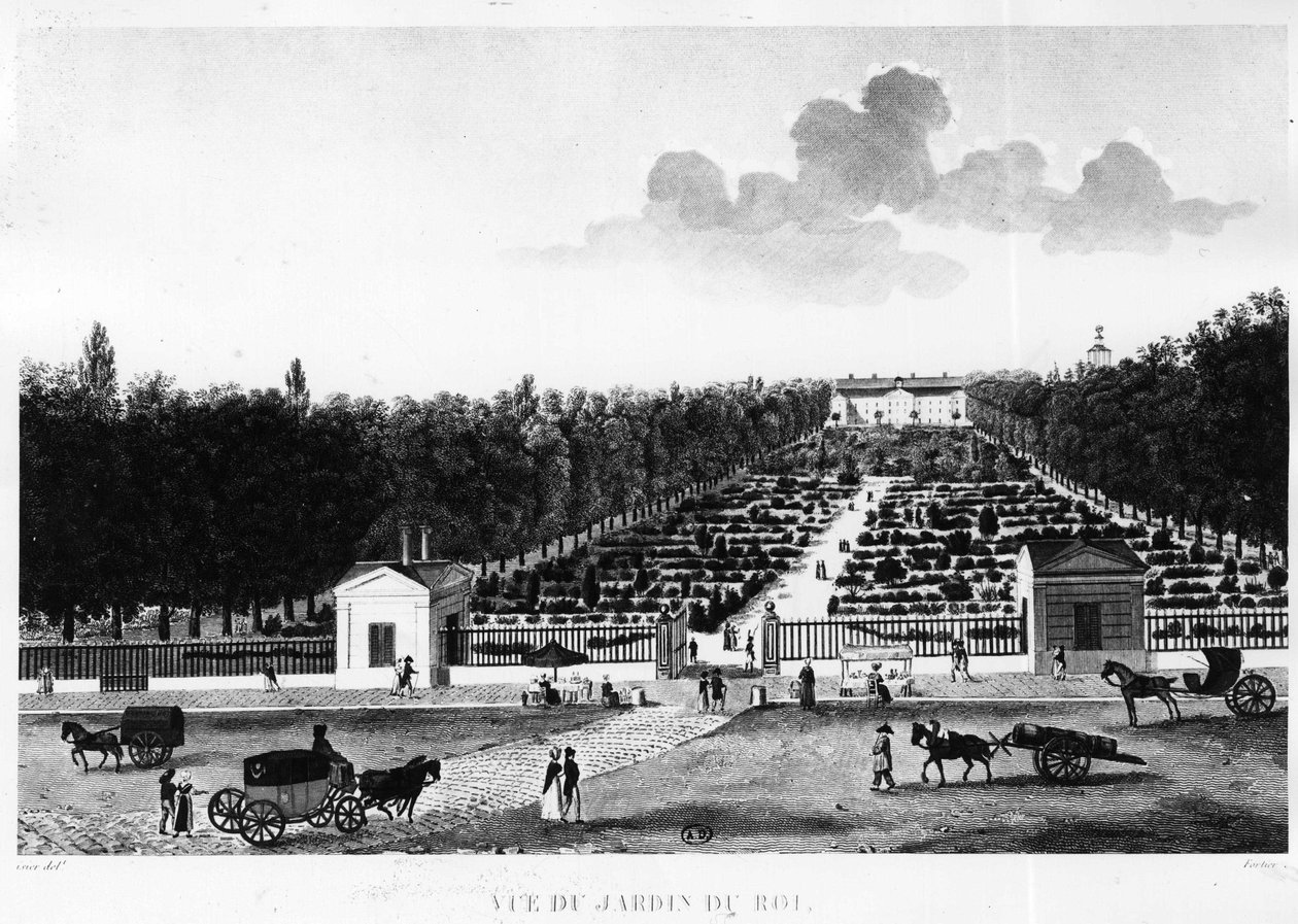 Vue du jardin du roi : le jardin des plantes à Paris - gravure par Courvoisier - Henri Courvoisier Voisin
