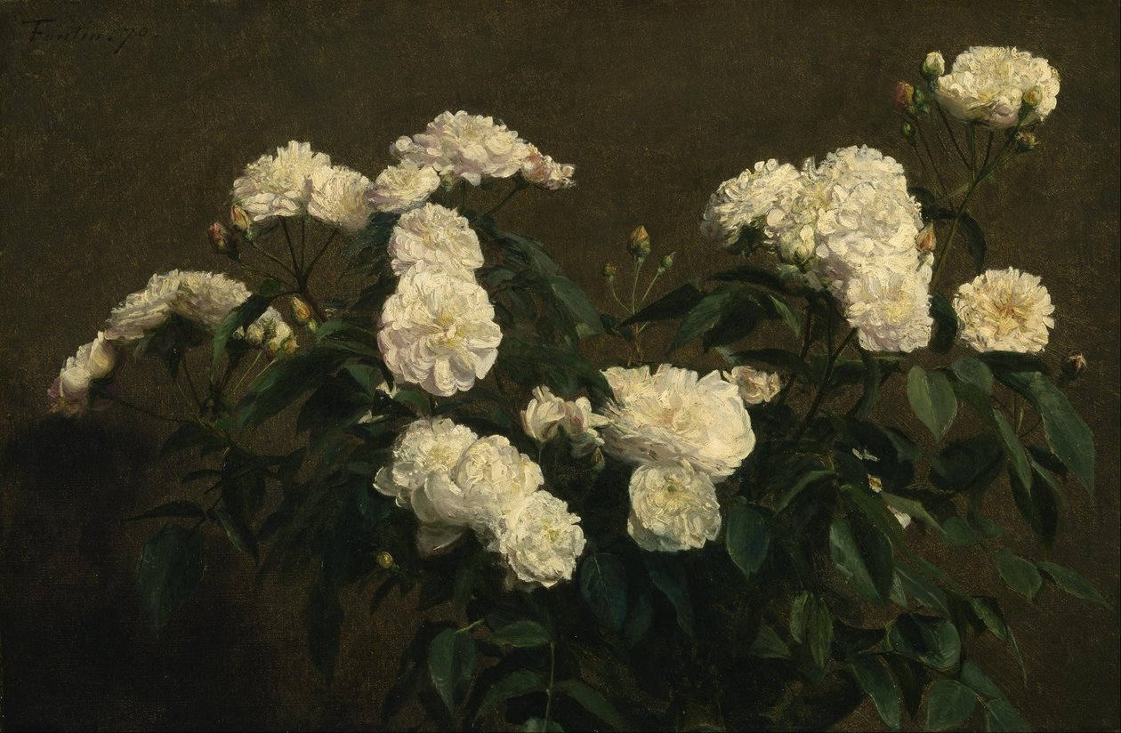 Nature morte de roses blanches - Henri Fantin-Latour