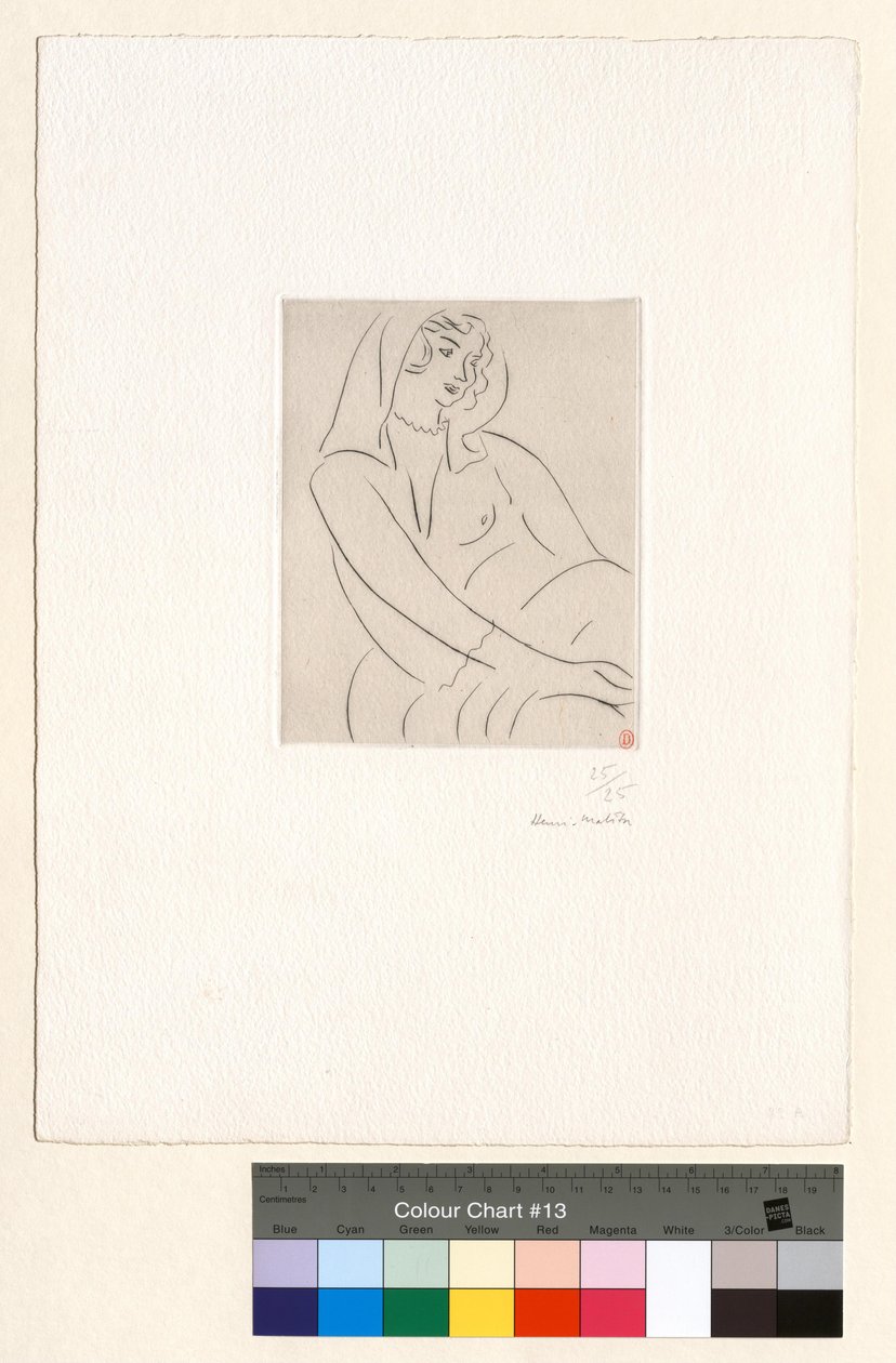 Jeune femme, voile sur la tête - Henri Matisse