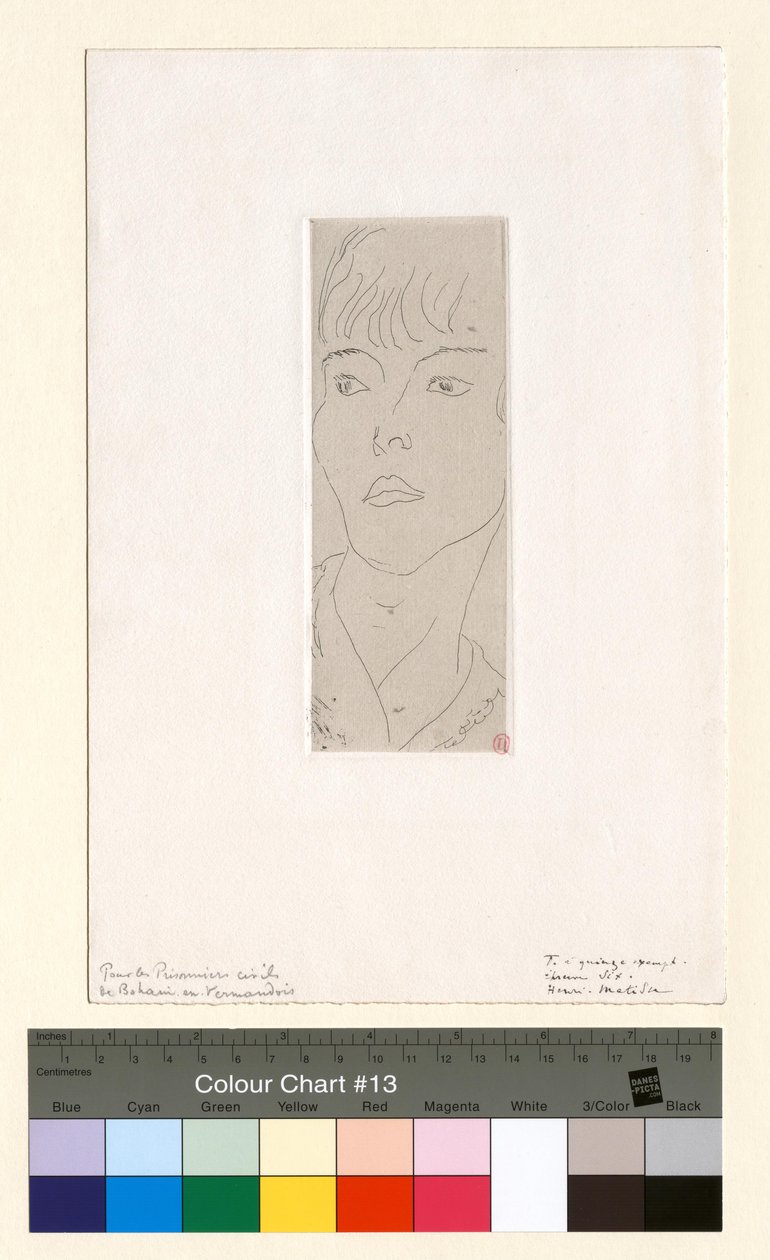 Mme D. G. Fanny - Henri Matisse