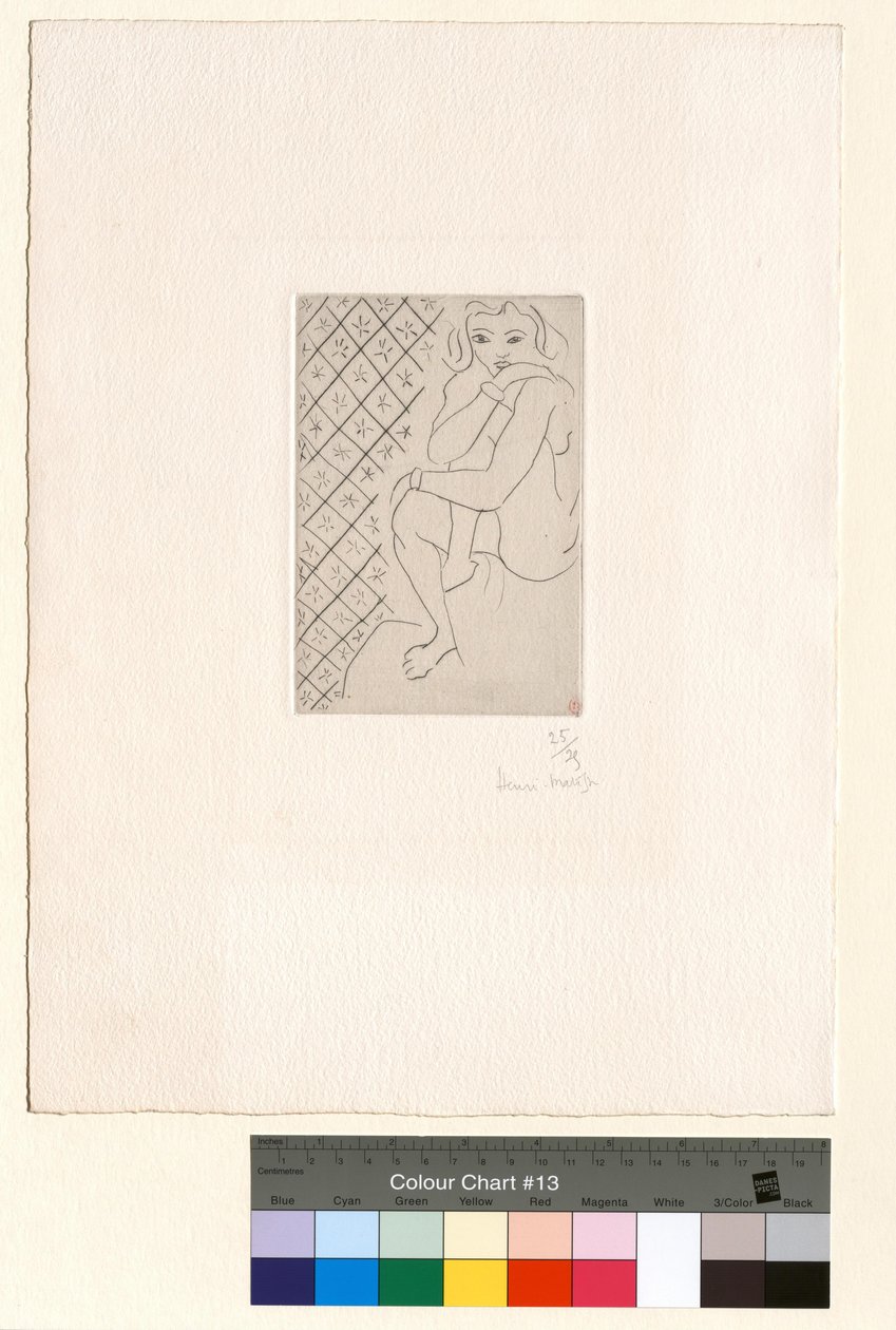 Nu assis, fond de carreaux étoilés - Henri Matisse