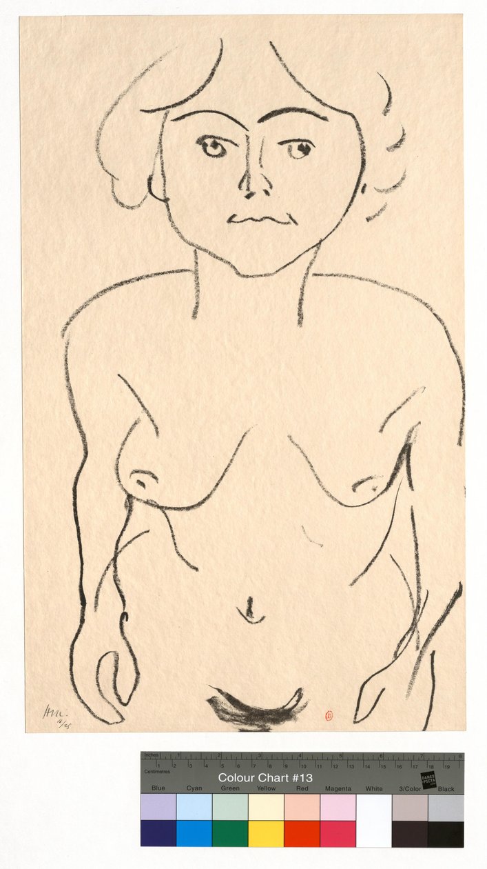 Nu de face, vue plongeante - Henri Matisse