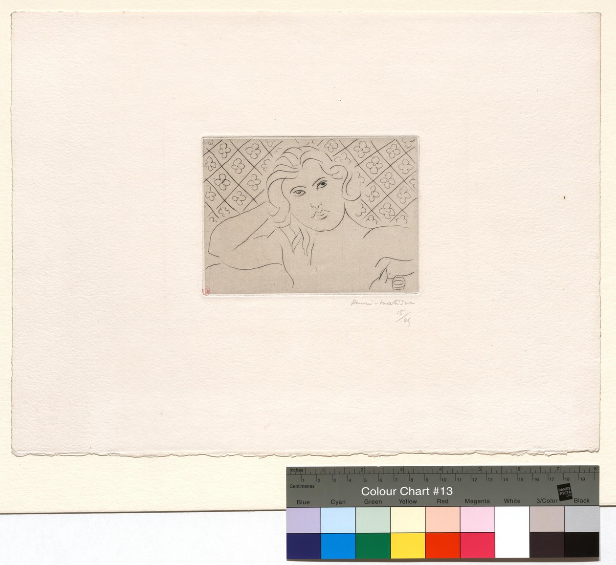 Torse, fond fleuri - Henri Matisse