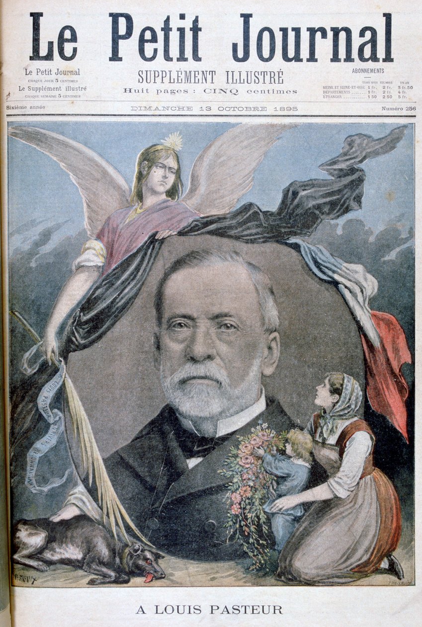 Louis Pasteur, chimiste français - Henri Meyer