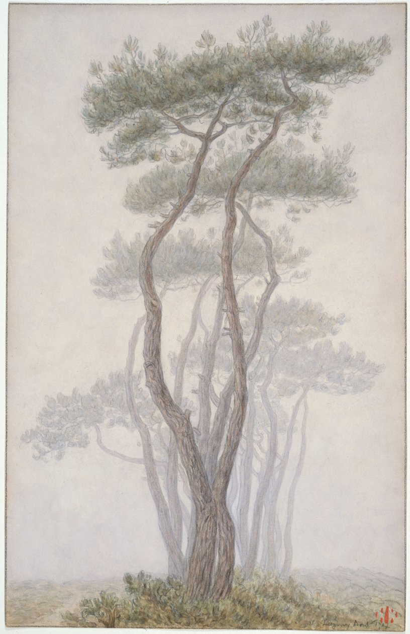 Loguivy, arbres - Henri Rivière