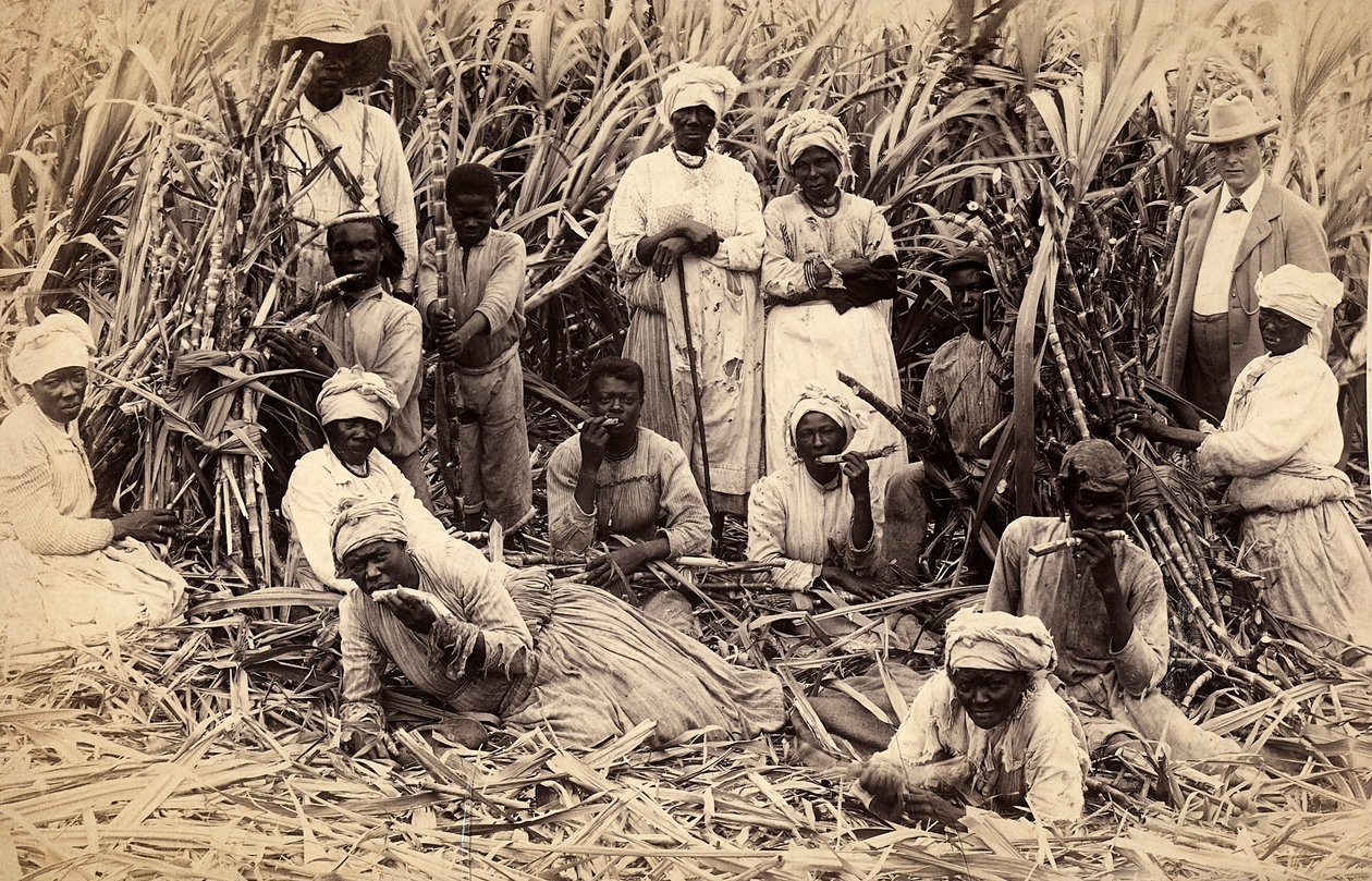Coupeurs de canne à sucre, Jamaïque - Henri S. Duperly