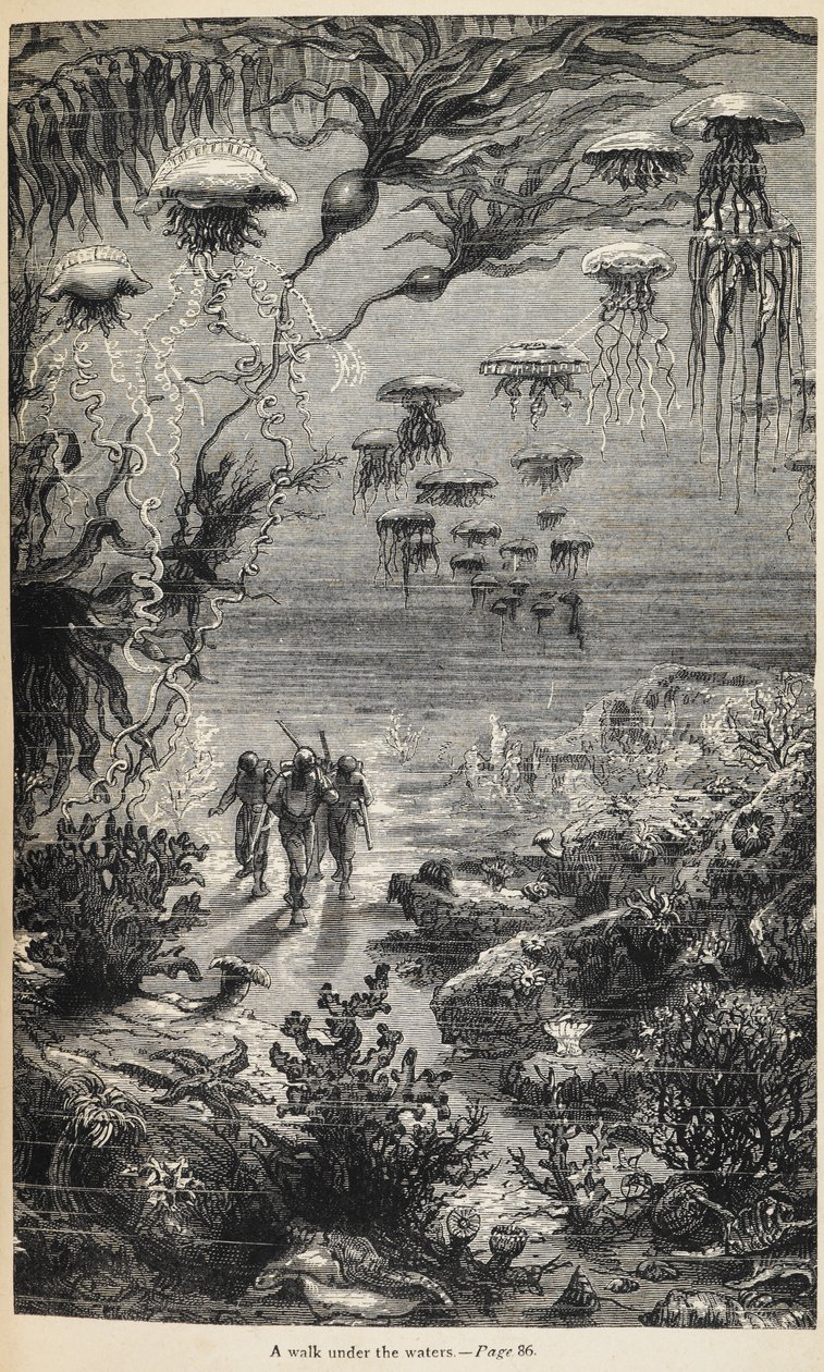 Illustration pour 