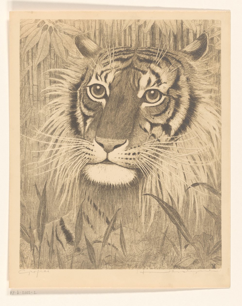 Tête de tigre - Henri Verstijnen (signed by artist)