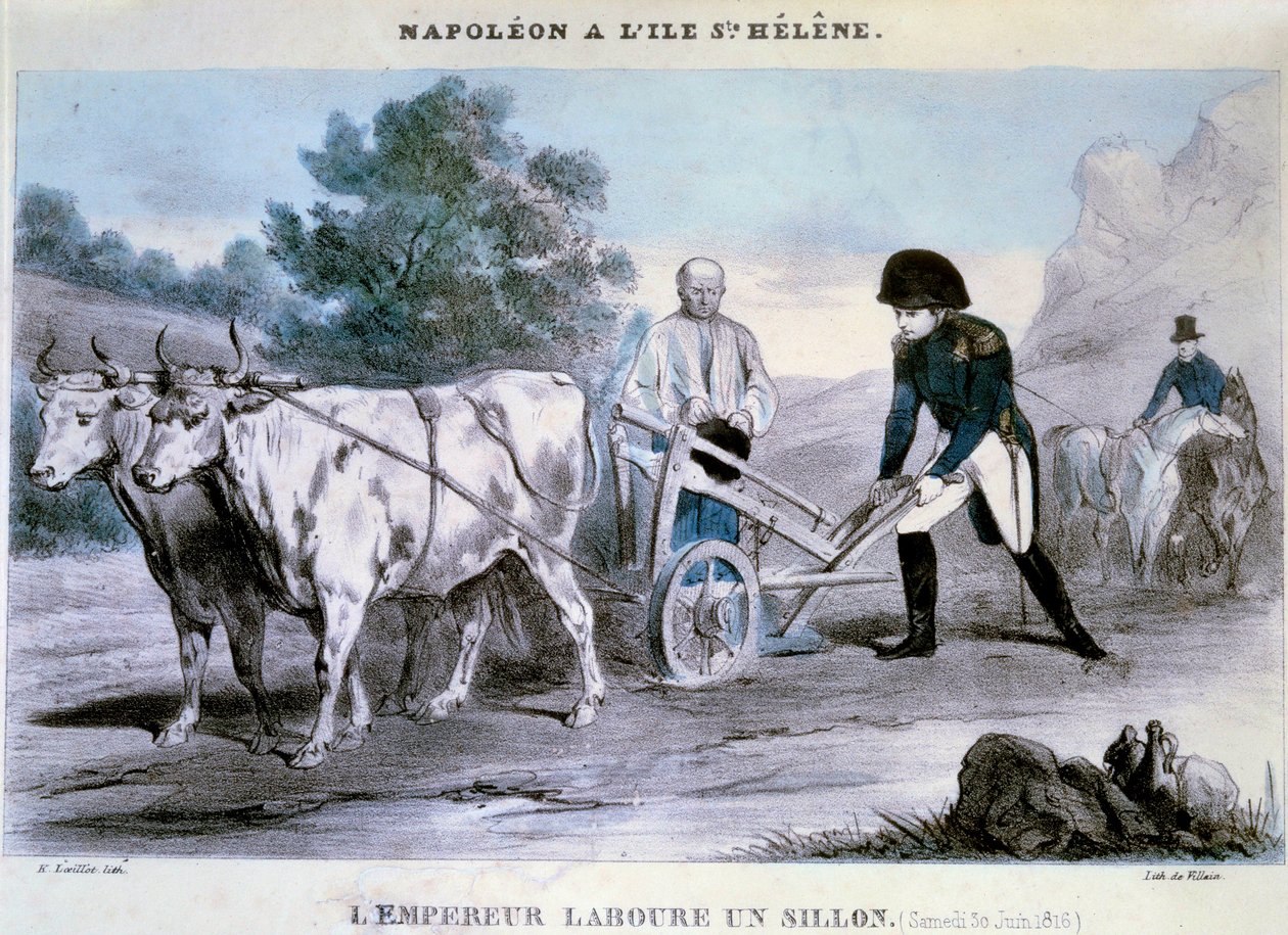 Napoléon Ier à Sainte-Hélène : l