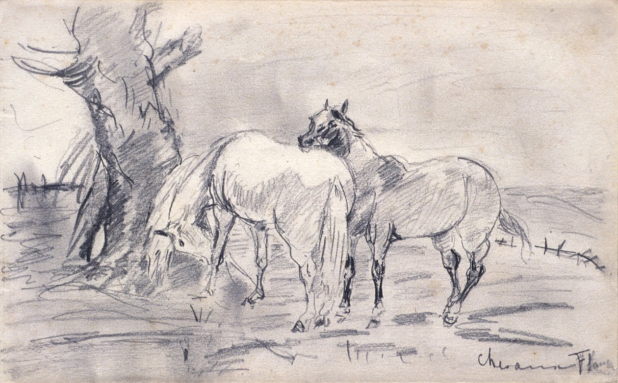 Chevaux - Henri de Toulouse-Lautrec