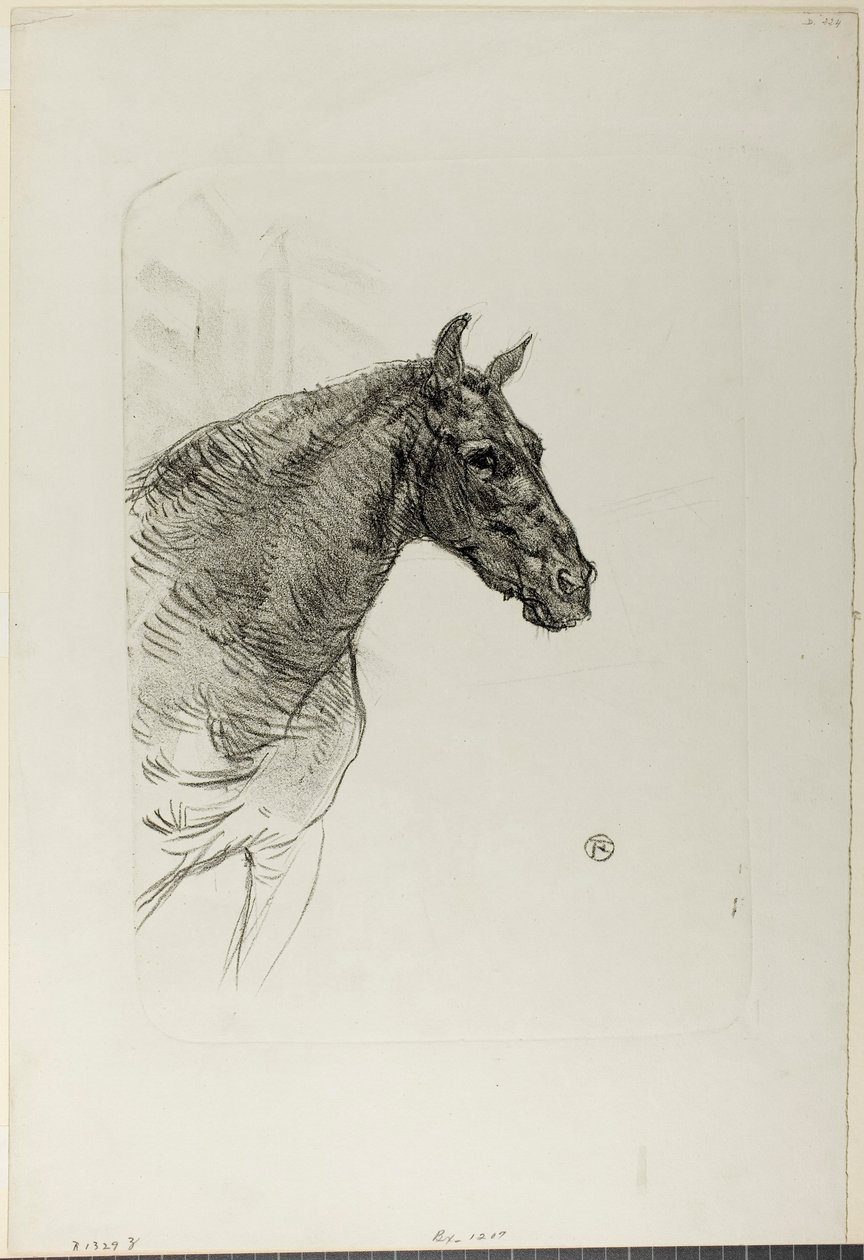 Philibert le poney - Henri de Toulouse-Lautrec
