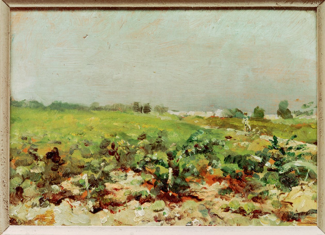 Vue sur les vignobles - Henri de Toulouse-Lautrec