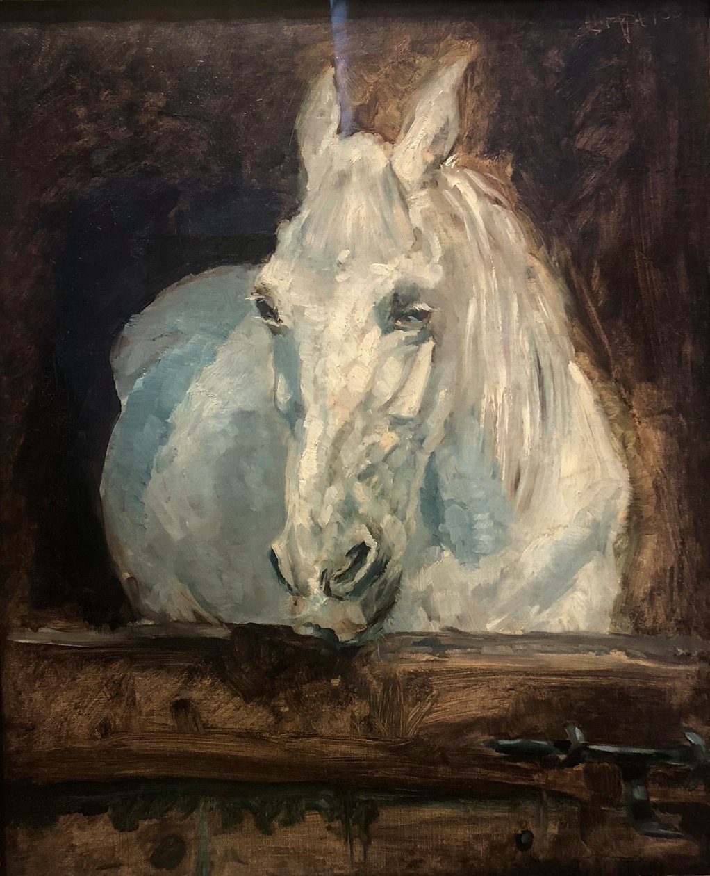 Albertina 2018 Henri de Toulouse-Lautrec The White Horse Gazelle - Henri de Toulouse Lautrec