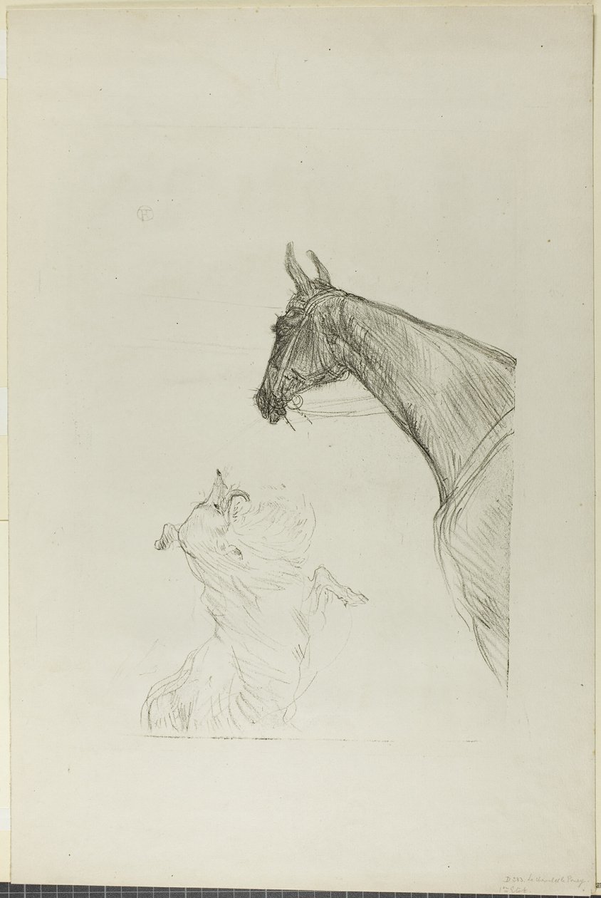 Cheval et colley - Henri de Toulouse Lautrec