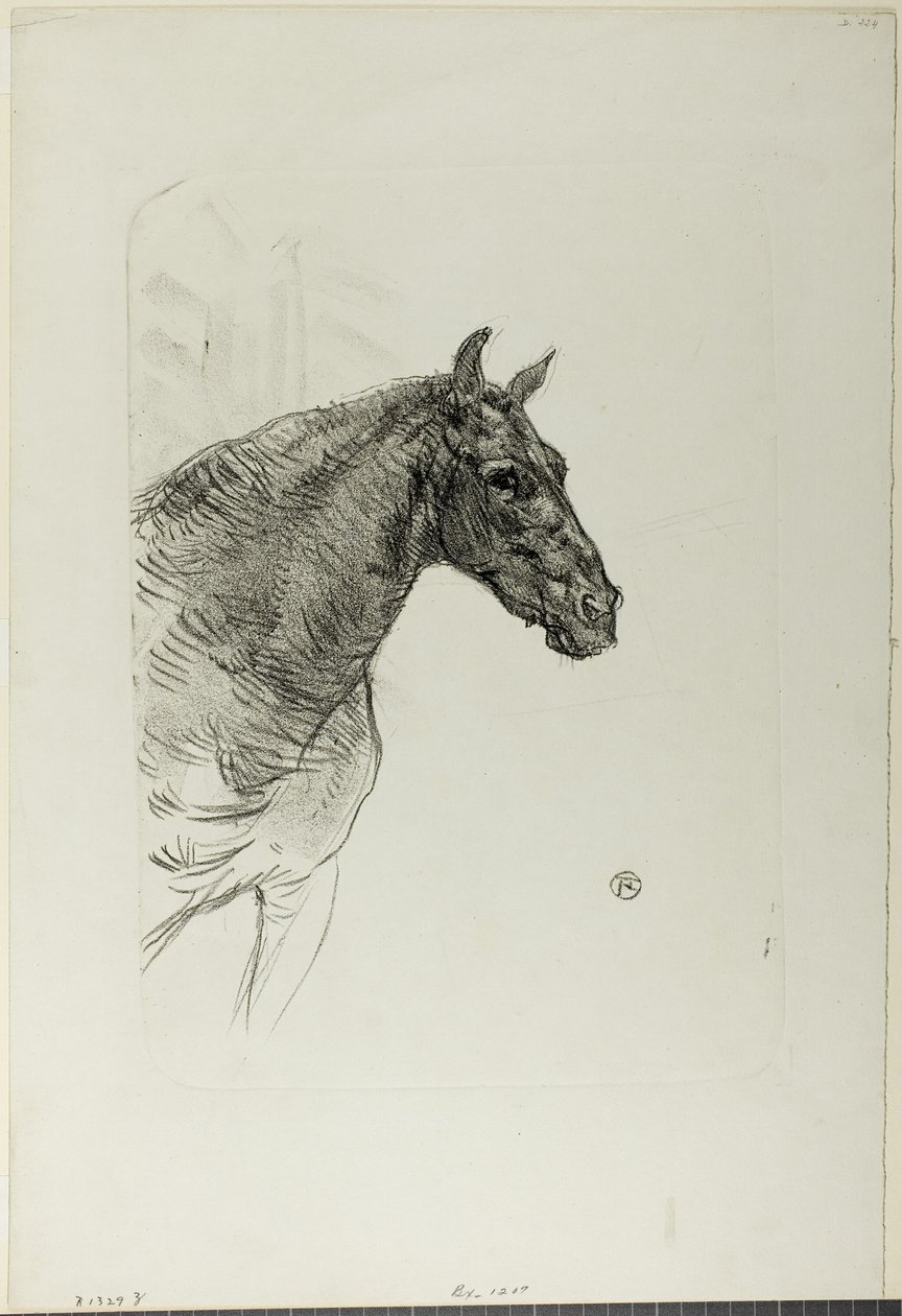 Philibert le poney - Henri de Toulouse Lautrec