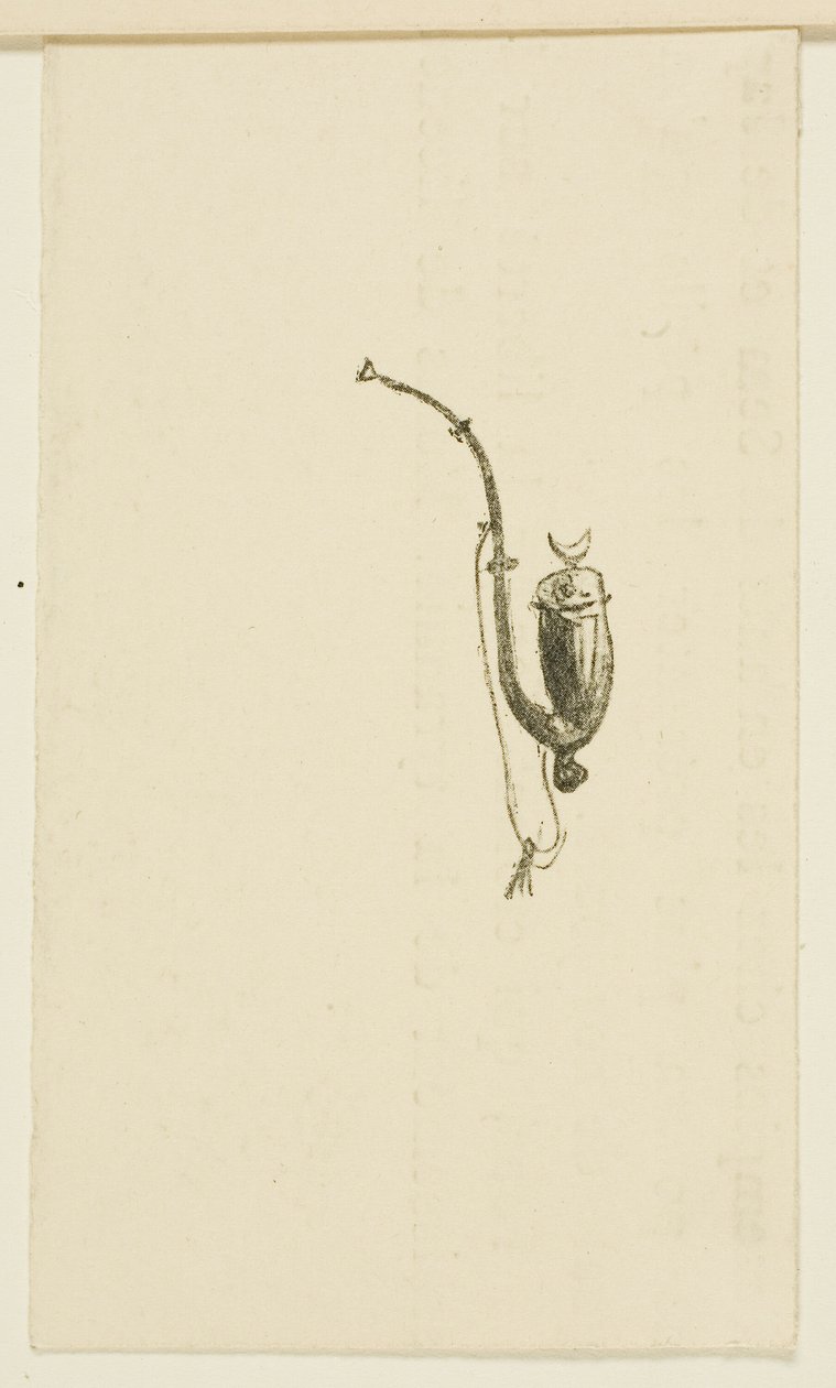 Cul-de-lampe de Au Pied du Sinaï - Henri de Toulouse Lautrec