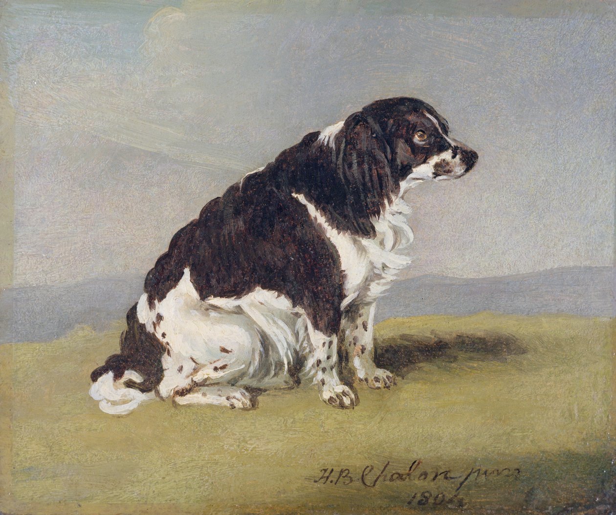 Le chien de la duchesse d