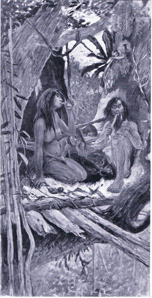 Habitation arboricole préhistorique chinoise - Henry Charles Seppings Wright