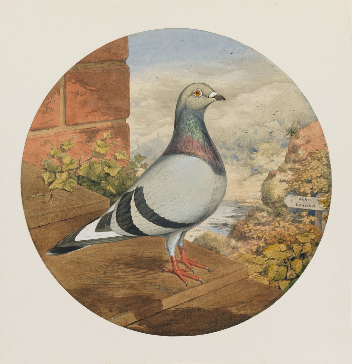 Pigeons voyageurs, Paris à Londres, 1880 - Henry Stephen Ludlow