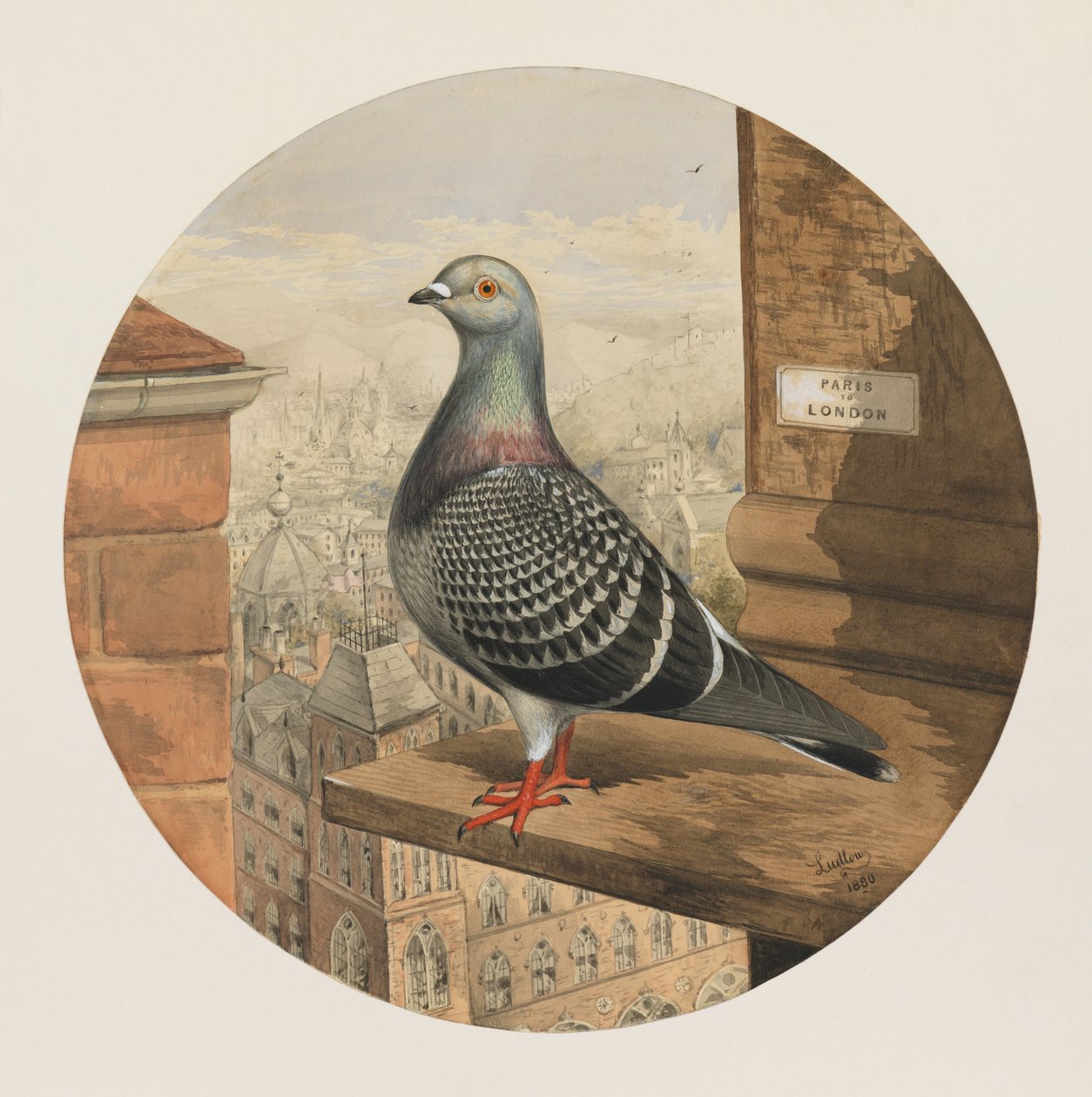Pigeons voyageurs, Paris à Londres, 1880 - Henry Stephen Ludlow