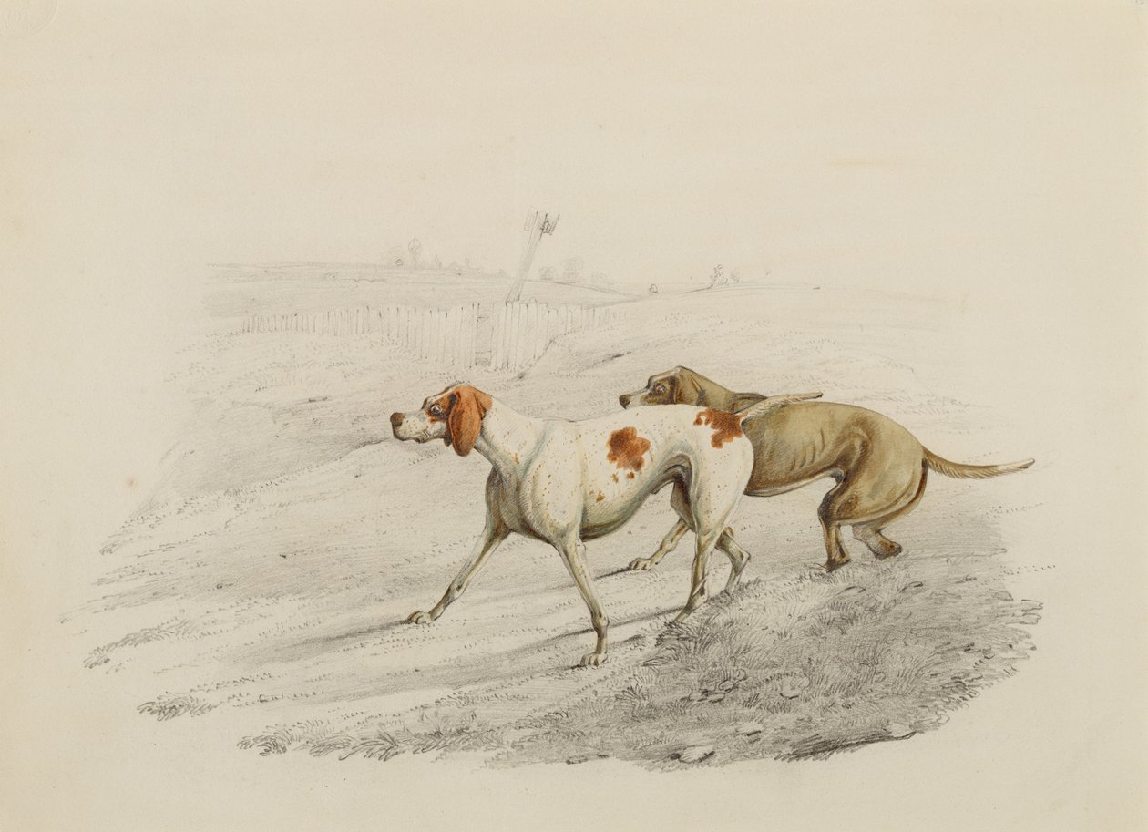Deux pointeurs, face à gauche - Henry Thomas Alken