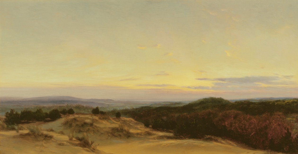 Coucher de soleil sur un paysage - Henry William Banks Davis