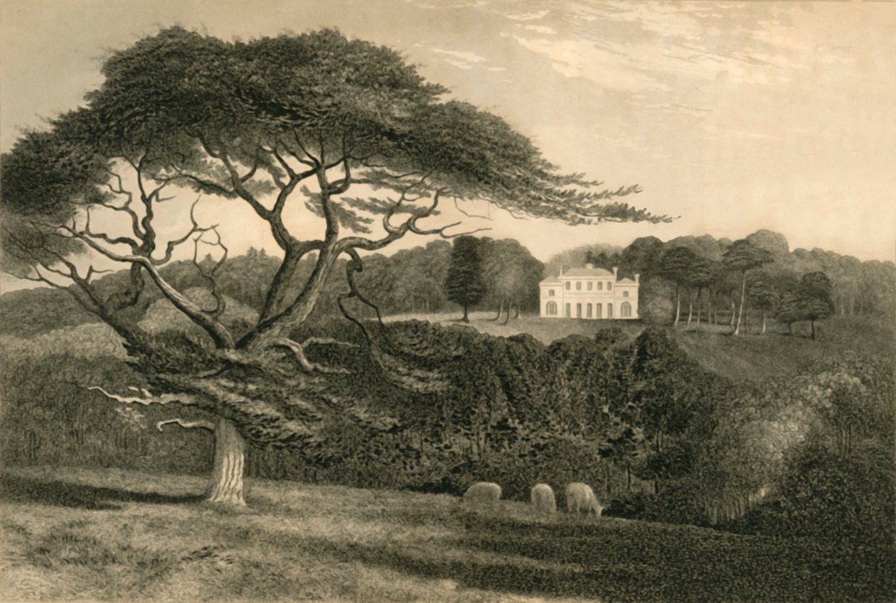Colline du Moulin à Vent, 1835 - Henry Alexander Ogg