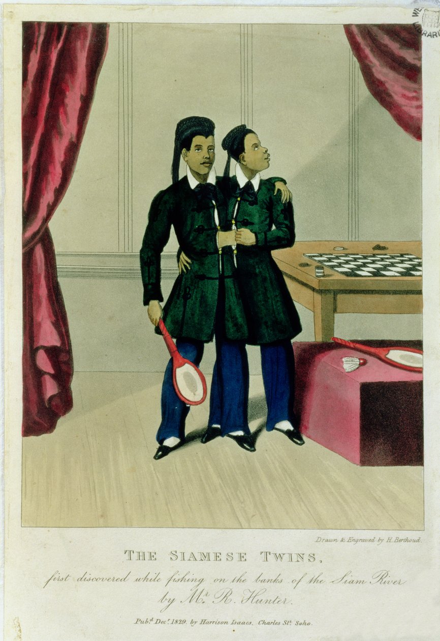 Les jumeaux siamois, découverts pour la première fois en pêchant sur les rives du fleuve Siam par M. R. Hunter, 1829 - Henry Berthoud